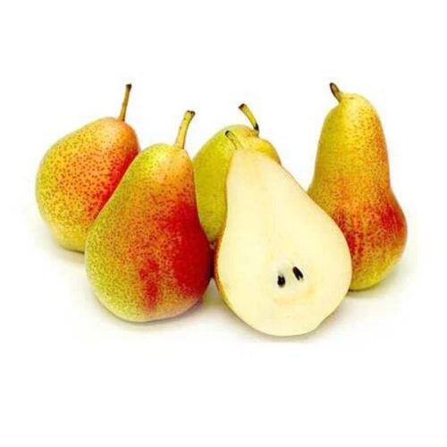 pear africa
