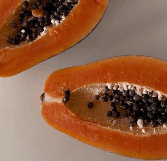 پاپایای استوایی