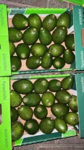 آووکادو سایز 18 محصول آووکادو لوکس خرید