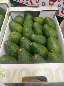 آووکادو کنیا وارداتی محصول آووکادو لوکس سایز 20 