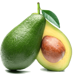 خرید آووکادو