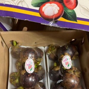 تصاویر واقعی منگوستین های آووکادولوکس